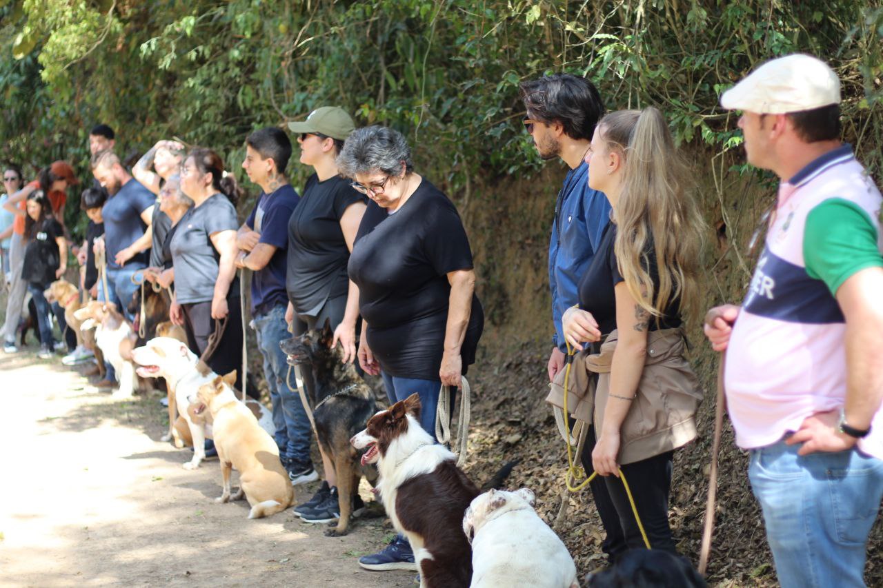 Adestrador de cães do Método MACAN conduzindo grupo de donos e cães em São Paulo